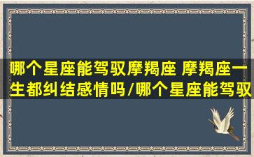 哪个星座能驾驭摩羯座 摩羯座一生都纠结感情吗/哪个星座能驾驭摩羯座 摩羯座一生都纠结感情吗-我的网站